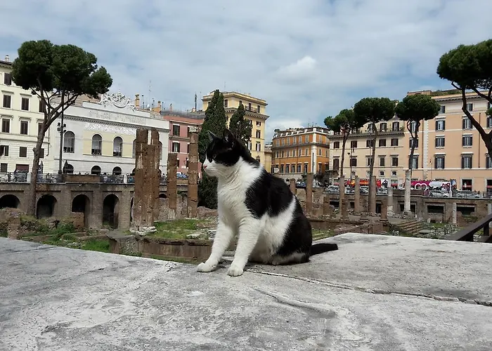 Lejlighed Argentina *